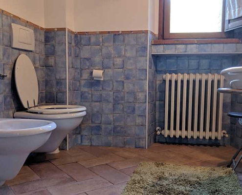 bathroom in farmhouse